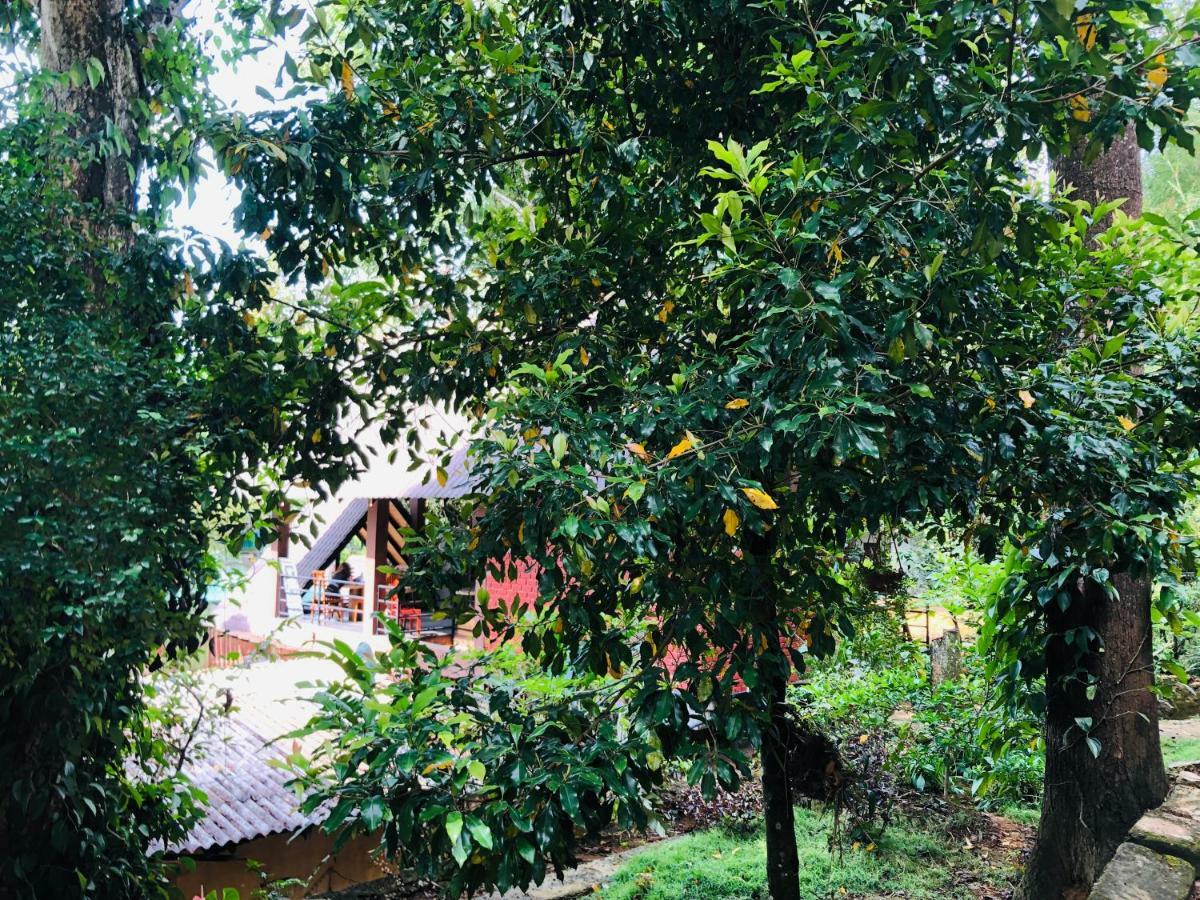 Little Folly Hotel Ella Luaran gambar